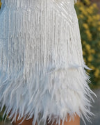 Women Textured Trim Fringe Mini Dress